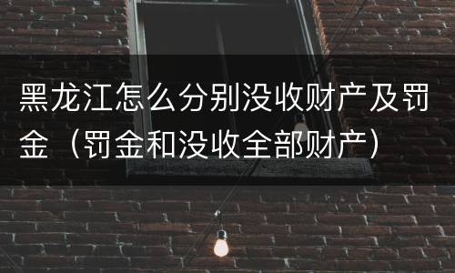 黑龙江怎么分别没收财产及罚金（罚金和没收全部财产）
