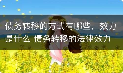 债务转移的方式有哪些，效力是什么 债务转移的法律效力