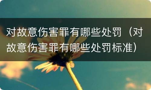 对故意伤害罪有哪些处罚（对故意伤害罪有哪些处罚标准）