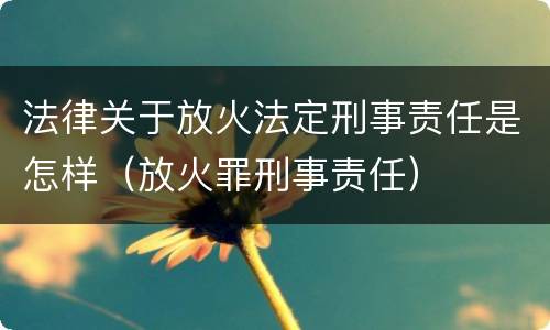 法律关于放火法定刑事责任是怎样（放火罪刑事责任）