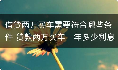 借贷两万买车需要符合哪些条件 贷款两万买车一年多少利息,月供多少?