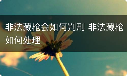 非法藏枪会如何判刑 非法藏枪如何处理