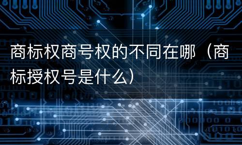 商标权商号权的不同在哪（商标授权号是什么）