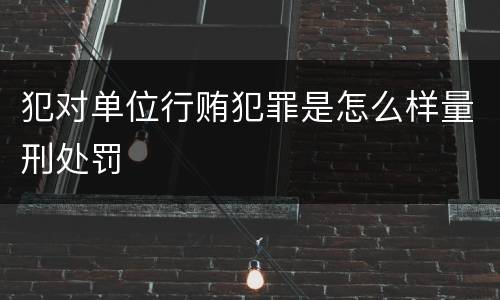 犯对单位行贿犯罪是怎么样量刑处罚
