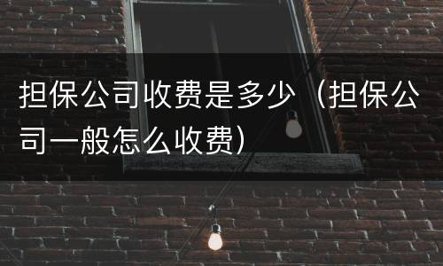 担保公司收费是多少（担保公司一般怎么收费）