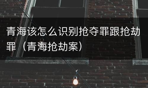 青海该怎么识别抢夺罪跟抢劫罪（青海抢劫案）