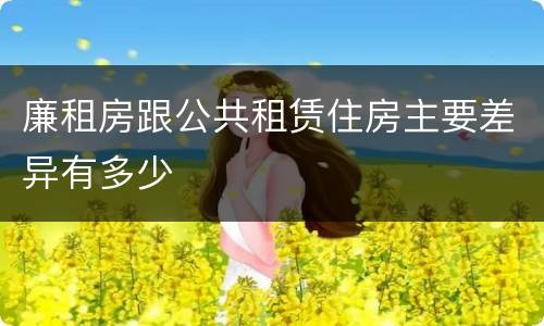 廉租房跟公共租赁住房主要差异有多少