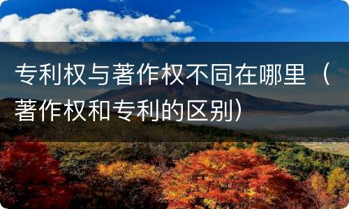 专利权与著作权不同在哪里（著作权和专利的区别）