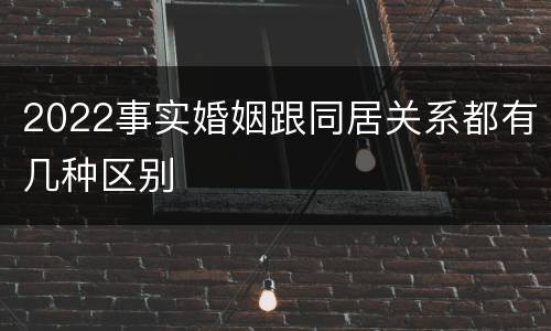 2022事实婚姻跟同居关系都有几种区别