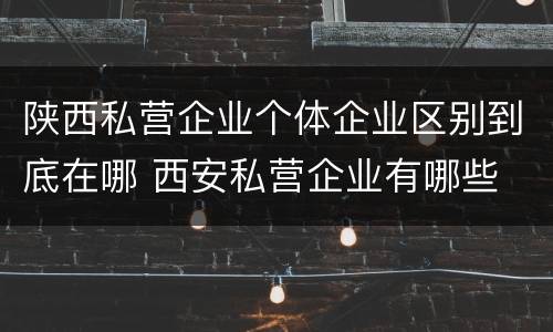 陕西私营企业个体企业区别到底在哪 西安私营企业有哪些