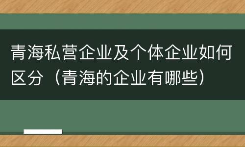 青海私营企业及个体企业如何区分（青海的企业有哪些）