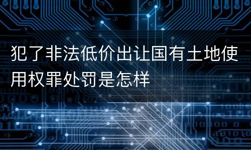 犯了非法低价出让国有土地使用权罪处罚是怎样