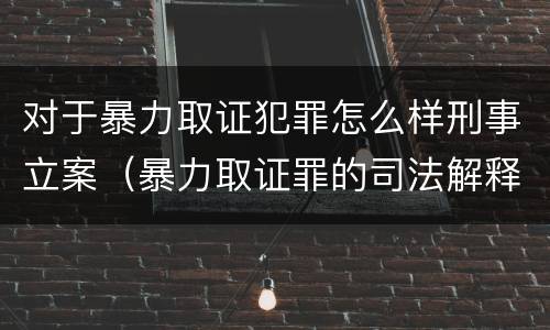 对于暴力取证犯罪怎么样刑事立案（暴力取证罪的司法解释）