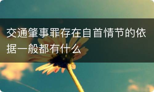 交通肇事罪存在自首情节的依据一般都有什么