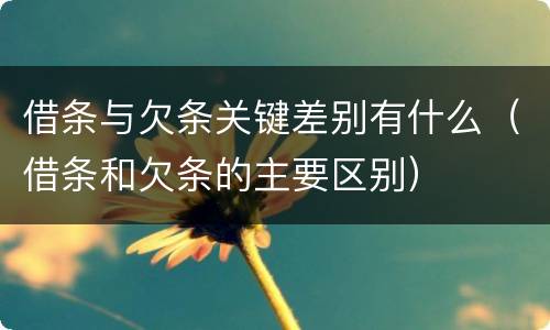 借条与欠条关键差别有什么（借条和欠条的主要区别）