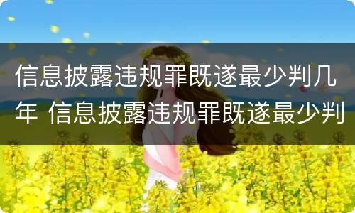 信息披露违规罪既遂最少判几年 信息披露违规罪既遂最少判几年徒刑