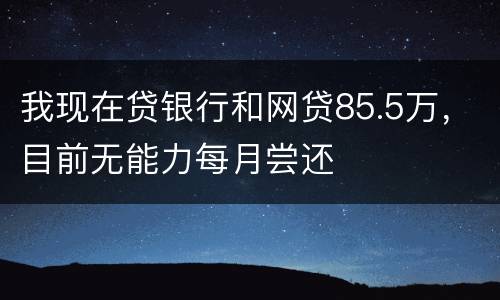 我现在贷银行和网贷85.5万，目前无能力每月尝还