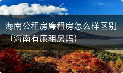 海南公租房廉租房怎么样区别（海南有廉租房吗）
