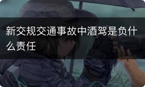 新交规交通事故中酒驾是负什么责任