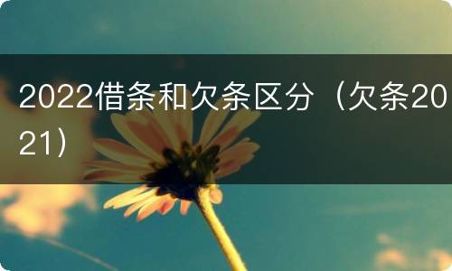 2022借条和欠条区分（欠条2021）
