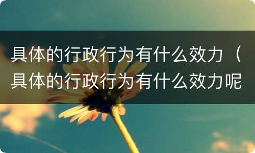 具体的行政行为有什么效力（具体的行政行为有什么效力呢）