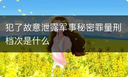 犯了故意泄露军事秘密罪量刑档次是什么