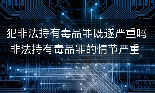 犯非法持有毒品罪既遂严重吗 非法持有毒品罪的情节严重