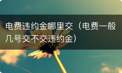 电费违约金哪里交（电费一般几号交不交违约金）