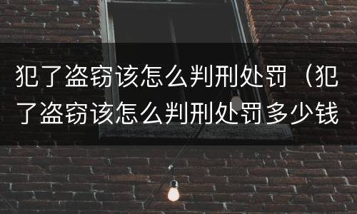 犯了盗窃该怎么判刑处罚（犯了盗窃该怎么判刑处罚多少钱）