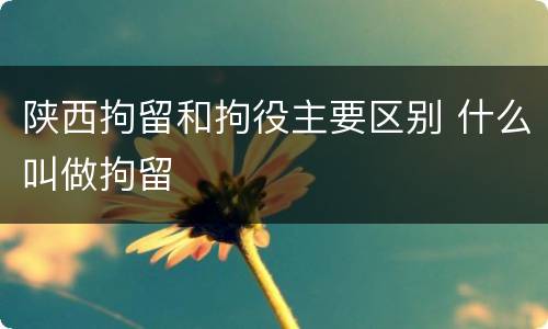 陕西拘留和拘役主要区别 什么叫做拘留
