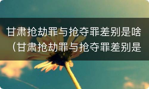 甘肃抢劫罪与抢夺罪差别是啥（甘肃抢劫罪与抢夺罪差别是啥呢）