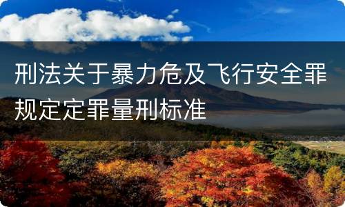 刑法关于暴力危及飞行安全罪规定定罪量刑标准