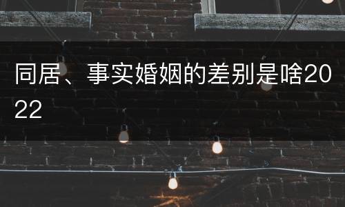 同居、事实婚姻的差别是啥2022
