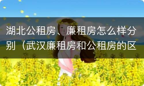 湖北公租房、廉租房怎么样分别（武汉廉租房和公租房的区别）