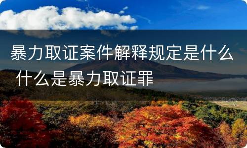 暴力取证案件解释规定是什么 什么是暴力取证罪