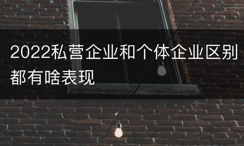 2022私营企业和个体企业区别都有啥表现