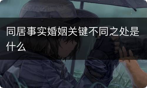 同居事实婚姻关键不同之处是什么