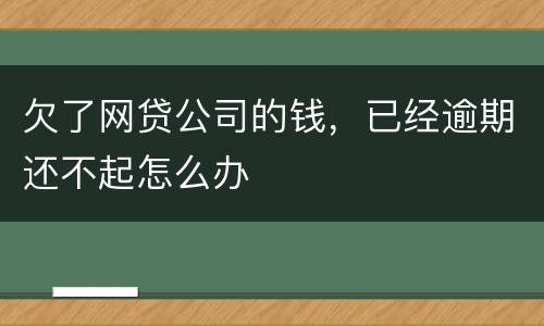 欠了网贷公司的钱，已经逾期还不起怎么办