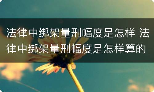 法律中绑架量刑幅度是怎样 法律中绑架量刑幅度是怎样算的