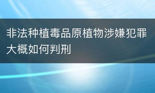 非法种植毒品原植物涉嫌犯罪大概如何判刑