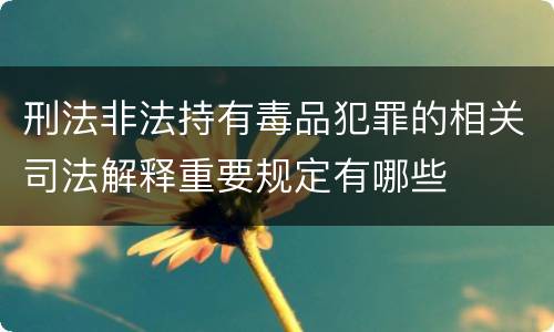 刑法非法持有毒品犯罪的相关司法解释重要规定有哪些