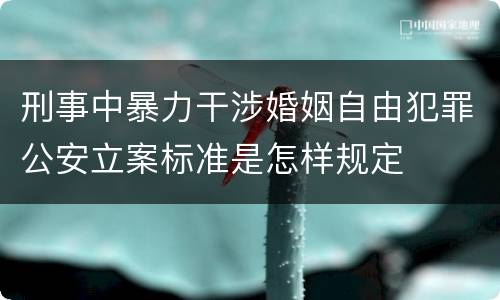 刑事中暴力干涉婚姻自由犯罪公安立案标准是怎样规定