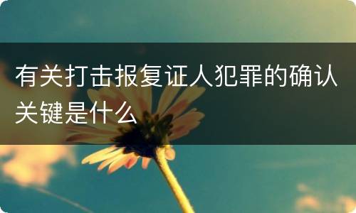 有关打击报复证人犯罪的确认关键是什么