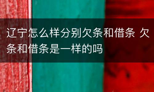 辽宁怎么样分别欠条和借条 欠条和借条是一样的吗