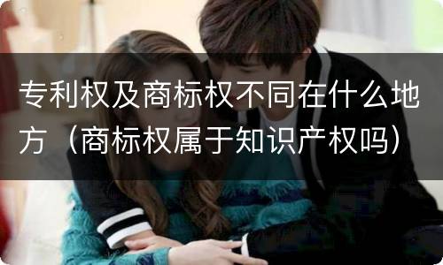 专利权及商标权不同在什么地方（商标权属于知识产权吗）