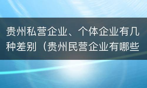 贵州私营企业、个体企业有几种差别（贵州民营企业有哪些）