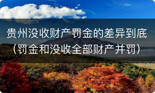 贵州没收财产罚金的差异到底（罚金和没收全部财产并罚）