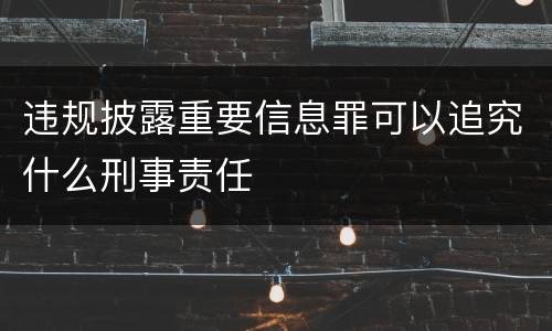 违规披露重要信息罪可以追究什么刑事责任