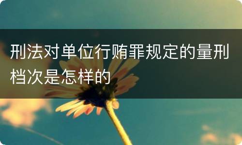 刑法对单位行贿罪规定的量刑档次是怎样的