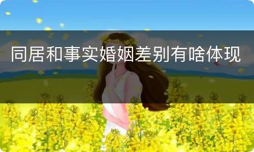 同居和事实婚姻差别有啥体现